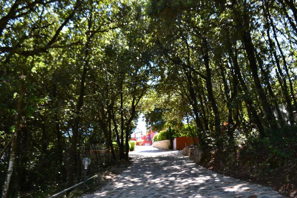 B&B Spring Perugia Eksteriør billede