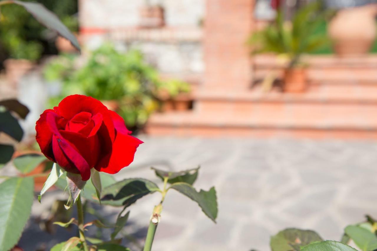 B&B Spring Perugia Eksteriør billede