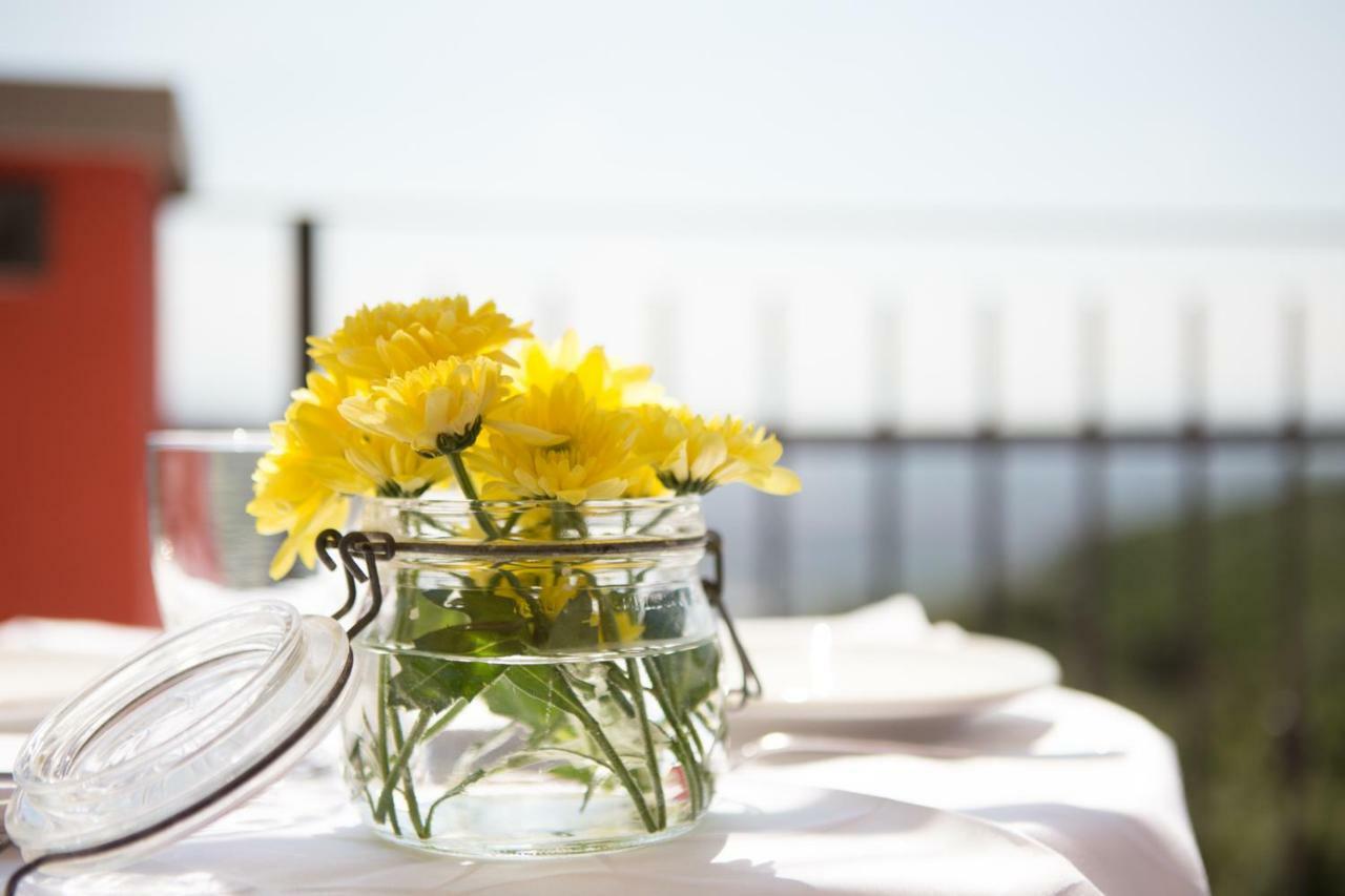 B&B Spring Perugia Eksteriør billede